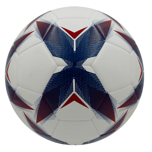 Balón de Fútbol Molten FR3101