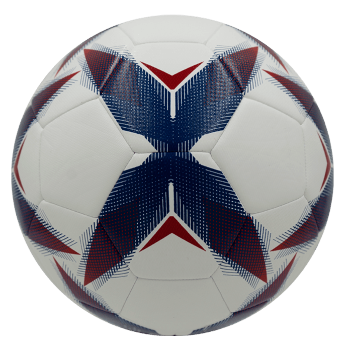 Balón de Fútbol Molten FR3101